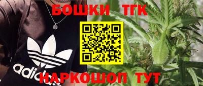 индика Жуковский