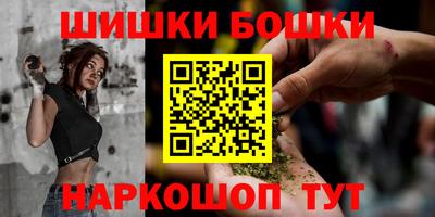 индика Жуковский