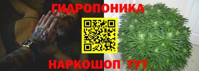 индика Жуковский