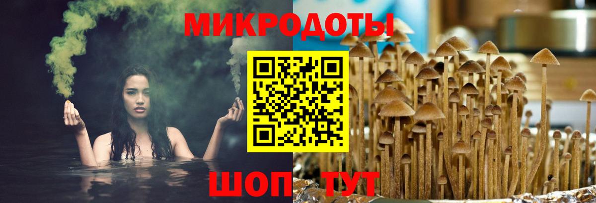 Галлюциногенные грибы прущие грибы Магнитогорск